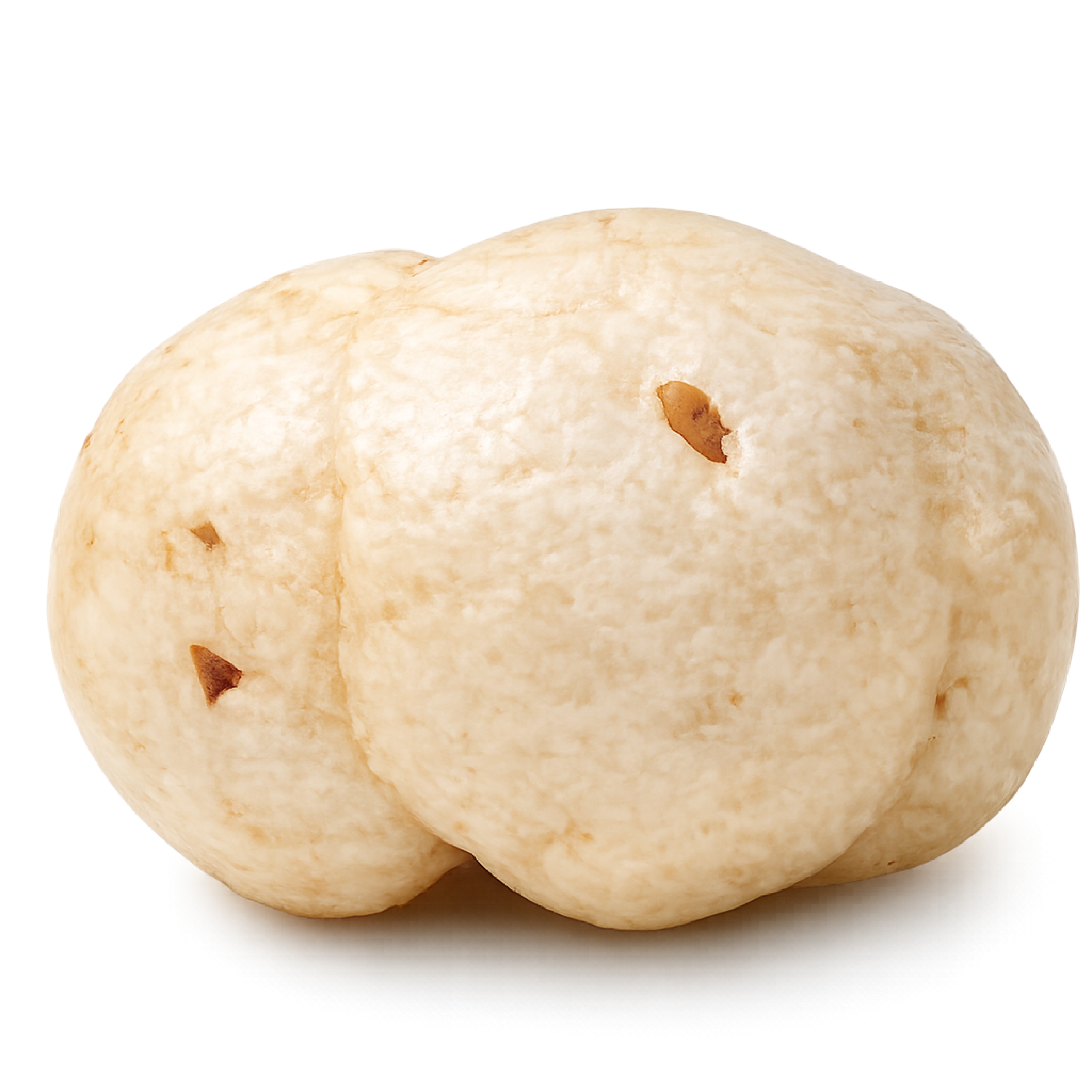 4 Suta small makhana size