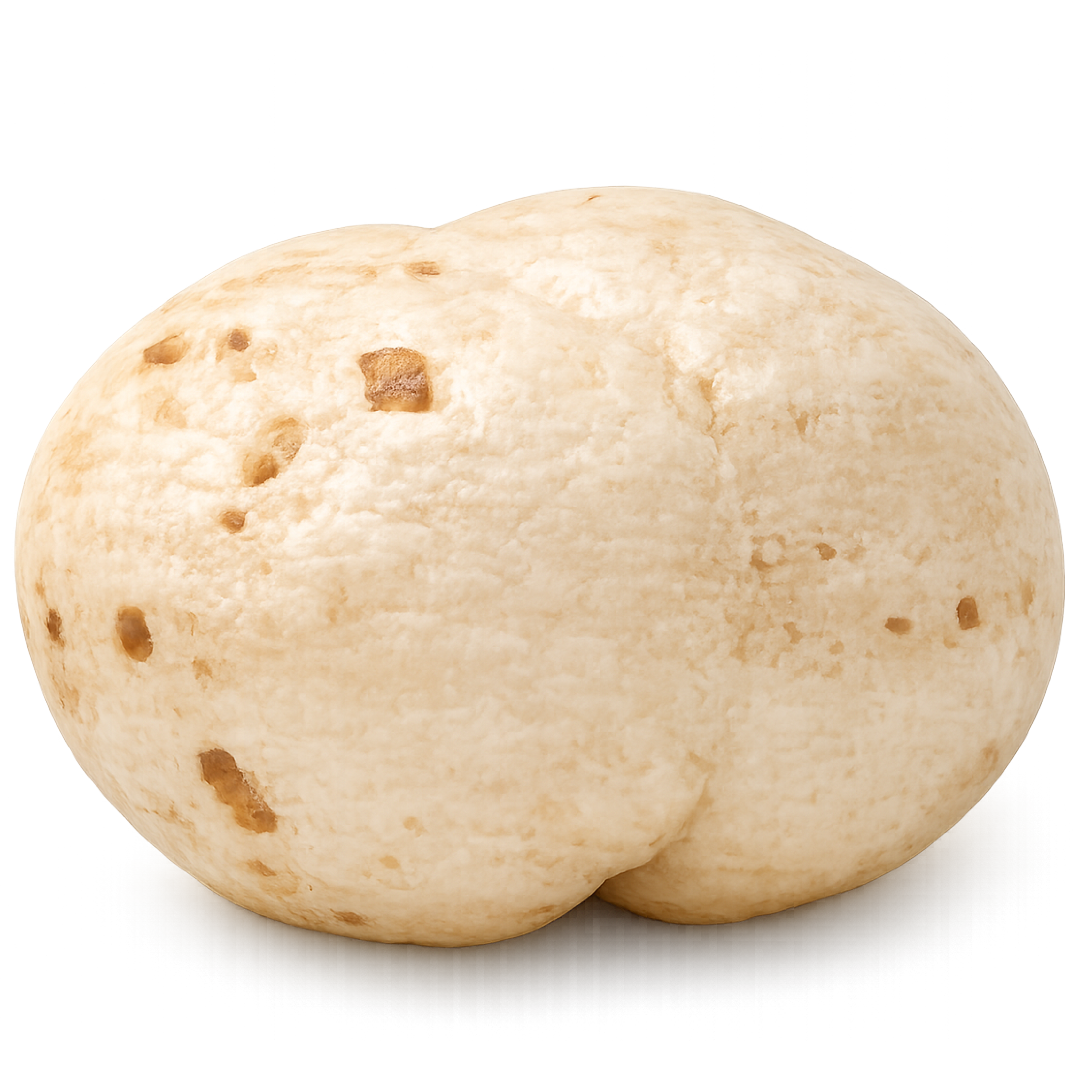 5 Suta medium makhana size