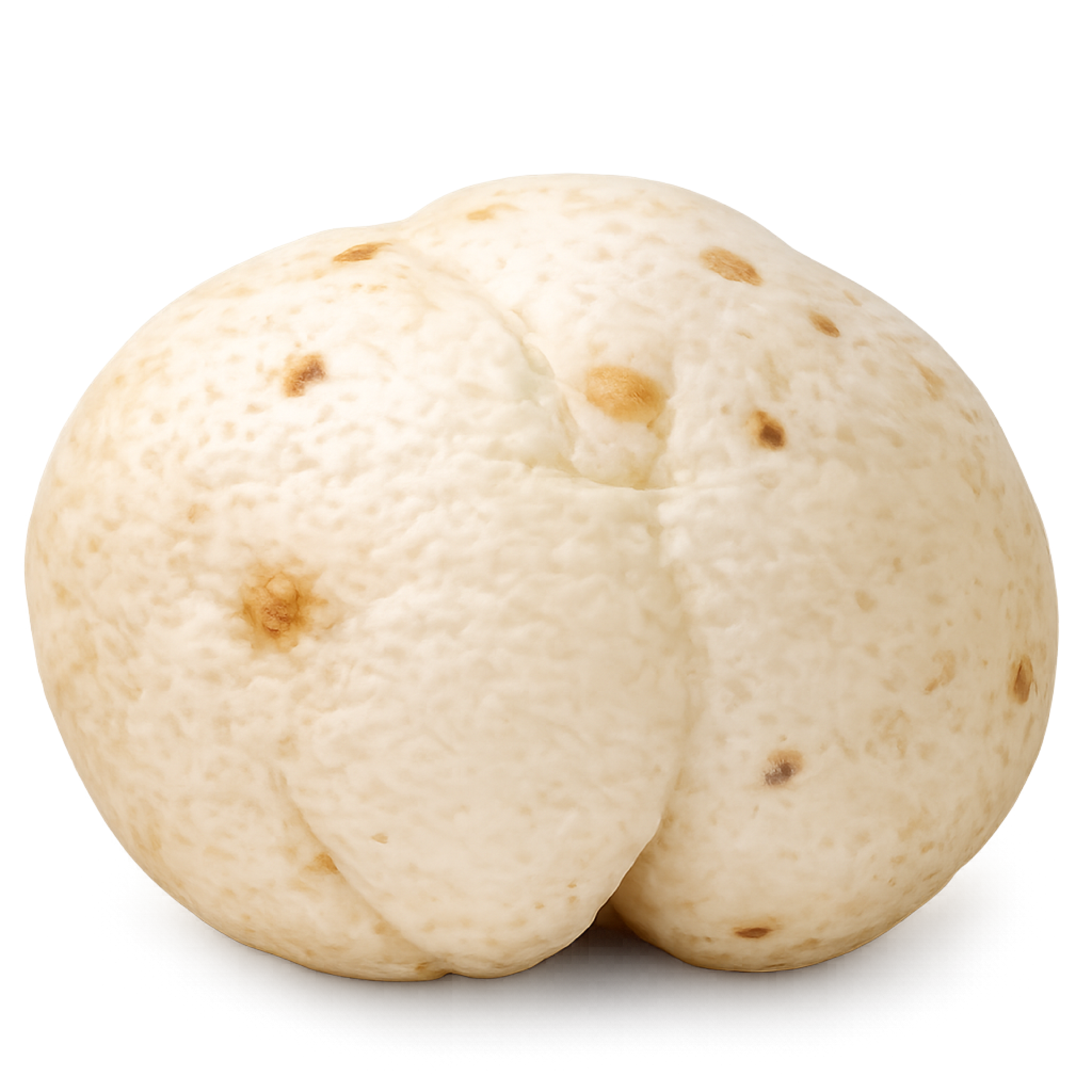 6 Suta large makhana size